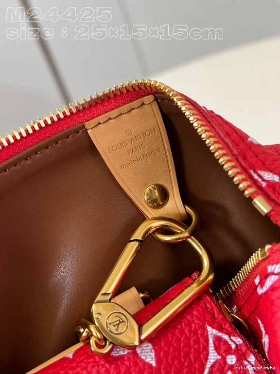 FS CHEAP 25 SPEEDY Louis Vuitton 0724